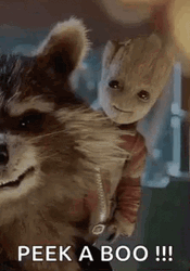 Baby Groot And Rocket Peek A Boo GIF