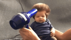 Baby Hair Dryer Day GIF