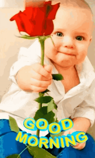 Baby Holding Red Rose Good Morning GIF