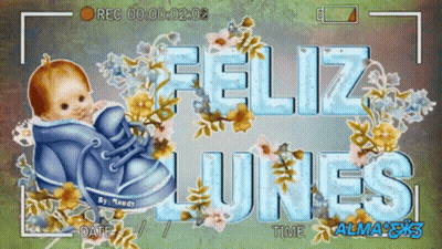 Baby In A Shoe Feliz Lunes GIF