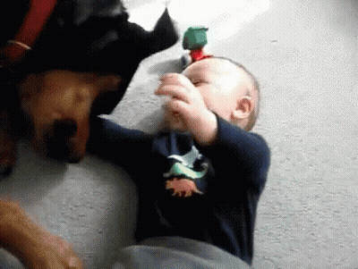 Baby In Blue Dinosaur Shirt Next To Dog GIF