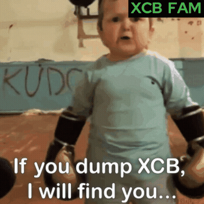 Baby In Boxing Gloves Says If You Dump XCB I Will Find You GIF