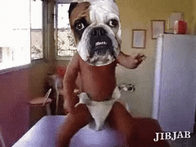 Baby In Diaper With Dog Face GIF
