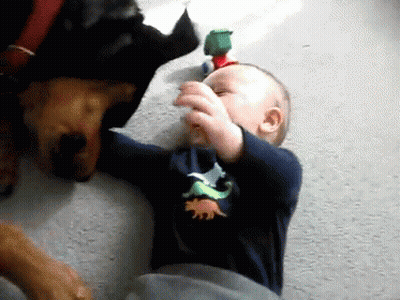 Baby In Dinosaur Shirt Playing With Dog GIF