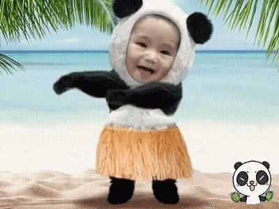 Baby In Panda Costume And Hula Skirt On Beach GIF