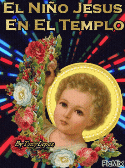 Baby Jesus El Niño Jesús En El Templo GIF