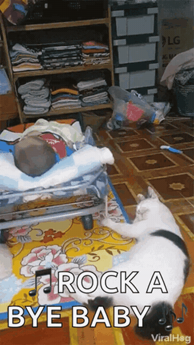 Baby Lying in Crib Next to Cat