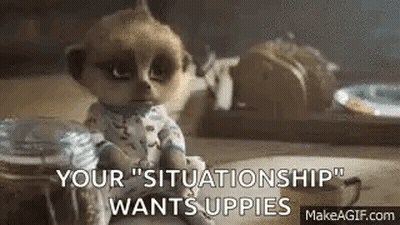 Baby Meerkat Sitting On Table Says Your Situationship Wants Upsies GIF