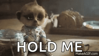 Baby Meerkat Sitting With Hold Me GIF