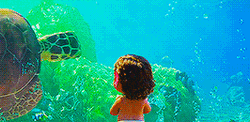Baby Moana Watching Turtle Passing By