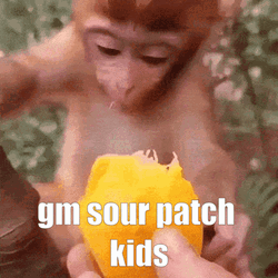 Baby Monkey Eat Sour Patch Kids Candy GIF