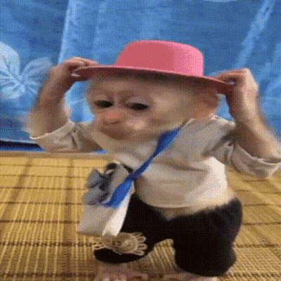 Baby Monkey in Pink Hat and Tie