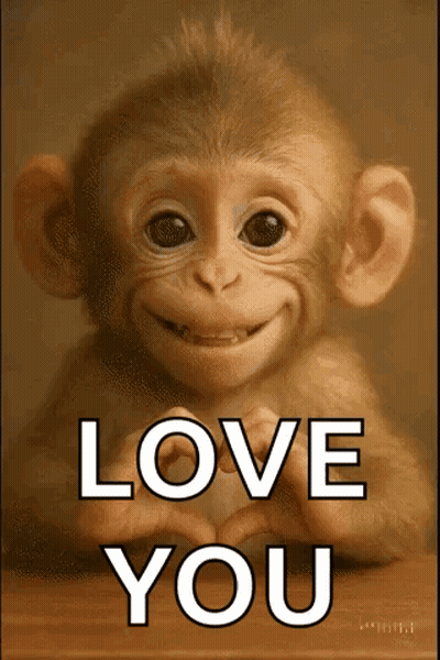 Baby Monkey Making Heart Love You GIF