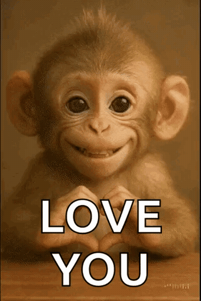 Baby Monkey Making Heart Saying Love You GIF