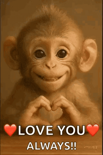 Baby Monkey Making Heart Shape Smiling GIF