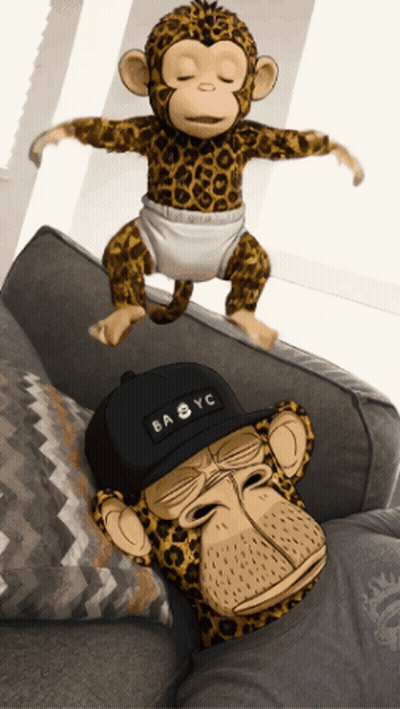 Baby Monkey Sitting On Couch Next To Monkey In Baby YC Hat GIF