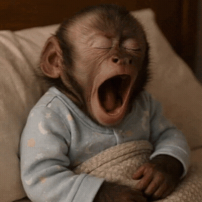 Baby Monkey Yawning In Blue Shirt GIF