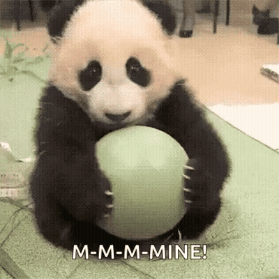 Baby Panda Bear Holding Green Ball GIF