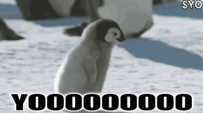 Baby Penguin In Snow Yoooooo000 GIF