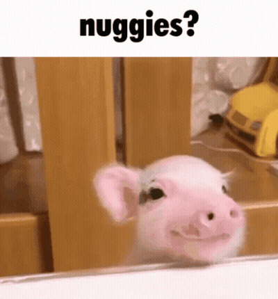 Baby Pig Smiling In Mirror GIF