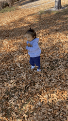 Baby Playing Scattered Falling Leaves GIF