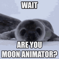 Baby Seal Crawling Towards The Camera GIF
