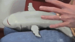 Baby Shark Cute Tickle Play GIF
