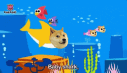 Baby Shark Do Do GIF