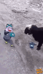 Baby Smashing The Goat Meme GIF
