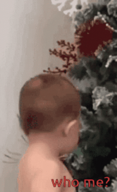 Baby Standing Before Christmas Tree With Who Me GIF