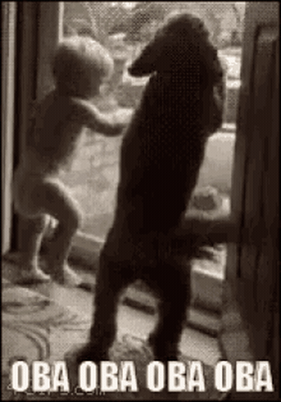 Baby Standing Next To Dog In Black And White GIF