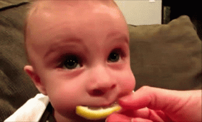 Baby Tasting Lemon GIF