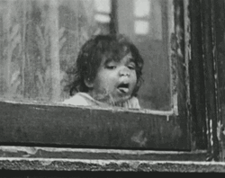 Baby Window Licker Black And White GIF