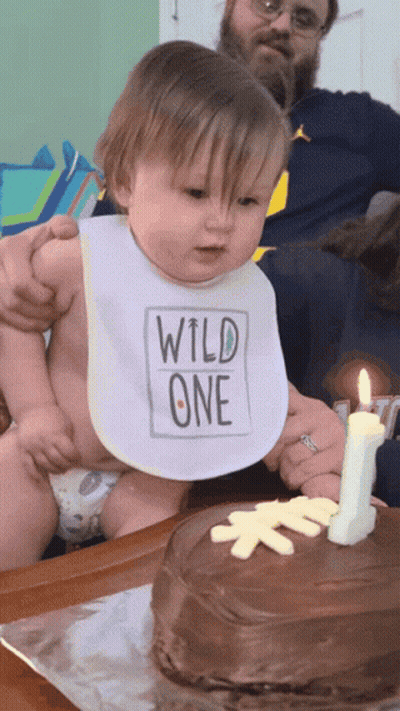 Baby With Bib Saying Wild One GIF