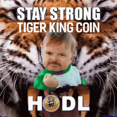 Baby With Mustache Sitting In Front Of Tiger Saying Stay Strong Tiger King Coin GIF