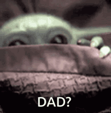 Baby Yoda Dad GIF