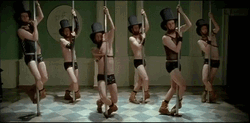 Bachelorette Guys Dancing Party GIF