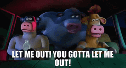 Back At The Barnyard Get Me Outta Here GIF