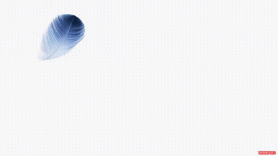 Back Of Black Apple Laptop GIF