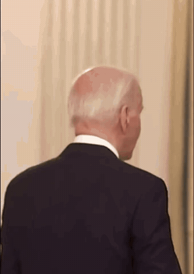Back Of Man In Suit And Tie GIF
