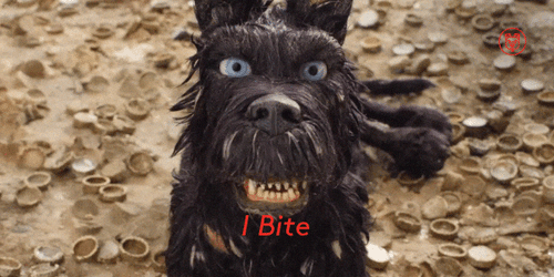 Back Off The Dog Bite GIF