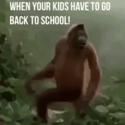 Back To School Happy Orangutan GIF