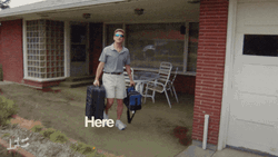 Back To Work Tim Robinson GIF