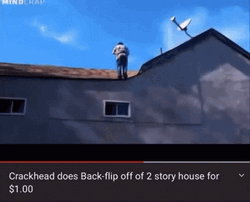 Backflip Crazy Crackhead Unharmed GIF