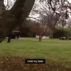Backyard Car Stunt Hold My Beer GIF