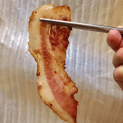 Bacon GIF