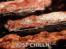 Bacon Just Chillin GIF