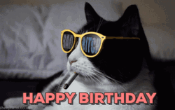 Bad Bitch Happy Birthday Cat