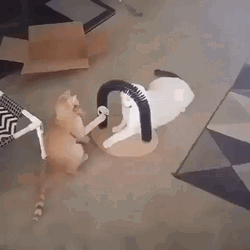 Bad Cats Fight Toy Attack GIF