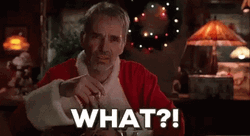 Bad Santa What GIF
